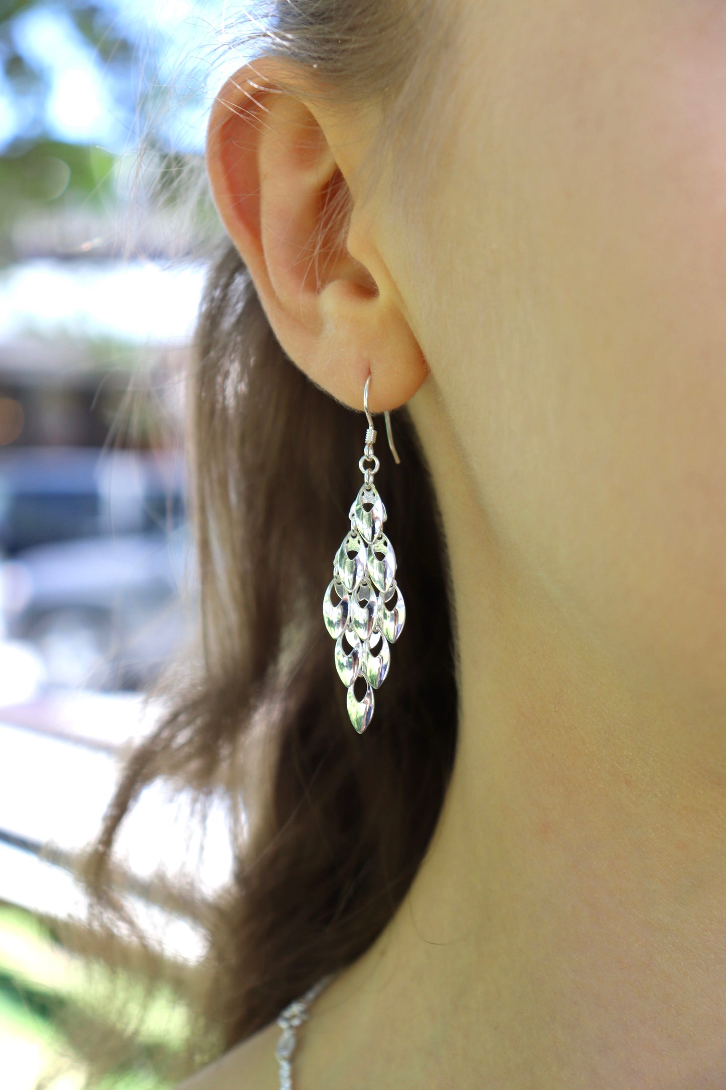 Hallow Dangle Earrings