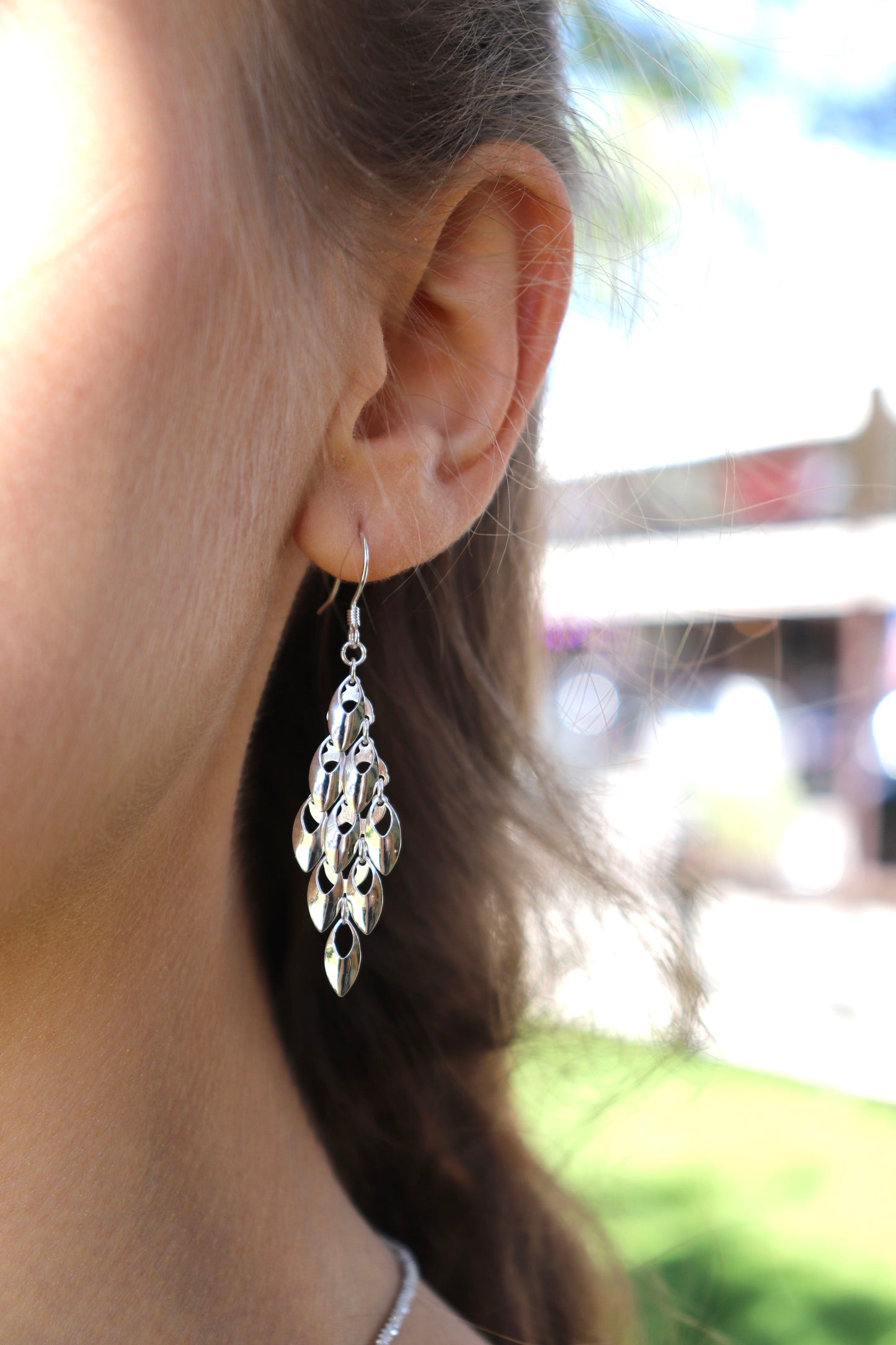 Hallow Dangle Earrings