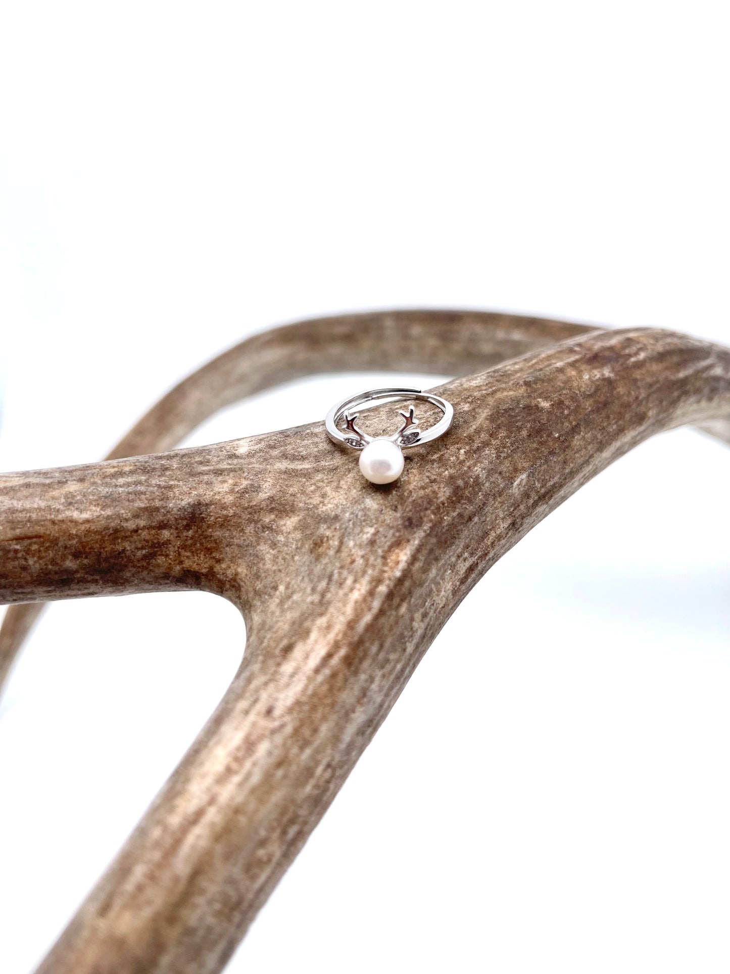 Cutie Antler Ring